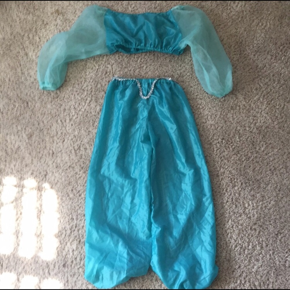 Princess Jasmine Costume